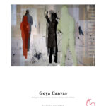 Hahnemühle_Goya_Canvas